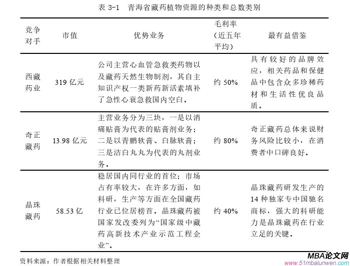 战略管理论文怎么写